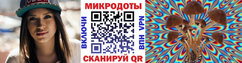 Галлюциногенные грибы Psilocybe Яранск