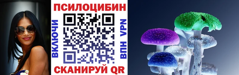 Псилоцибиновые грибы GOLDEN TEACHER  MEGA онион  Яранск 